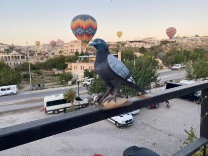 Adventure Inn Cappadocia - image 18