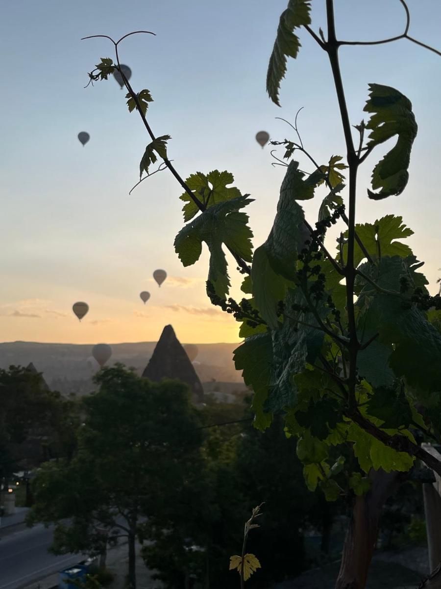 Paradise Cappadocia - image 4